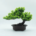 Artificial Bonsai Tree – Desk & Shelf Decor