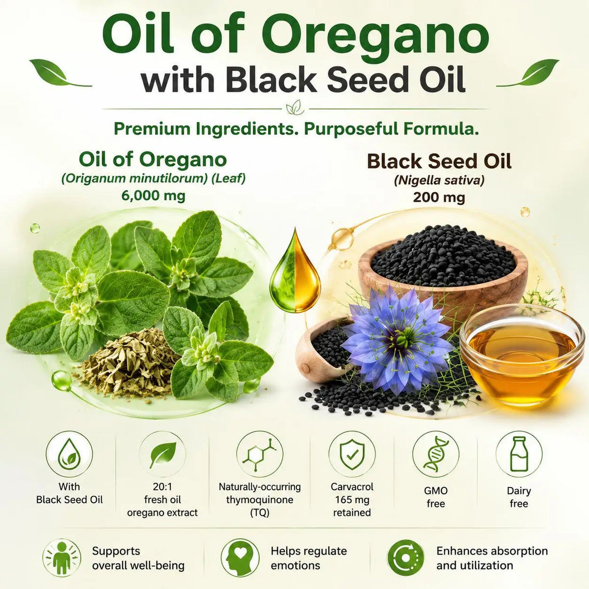 Oil of Oregano & Black Seed Oil Softgels, 300 Count
