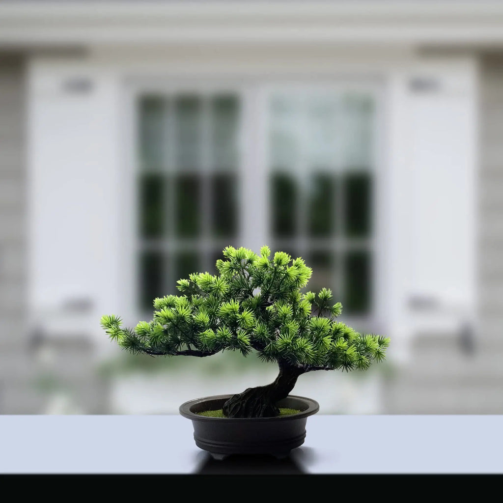 Artificial Bonsai Tree – Desk & Shelf Decor